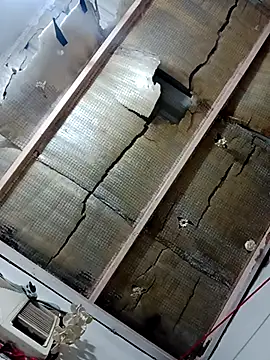 saraieevosarai online show from 27, 1, 2025