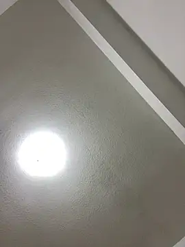 islandvybee55 online show from 3, 1, 2025