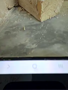 seloloko20 online show from 1, 12, 2025