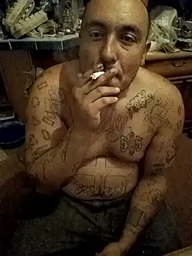 wilsons12 online show from 19, 11, 2025