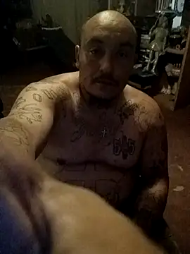 wilsons12 online show from 12, 4, 2026