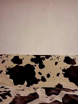 Zgodanilep online show from 20, 9, 2025