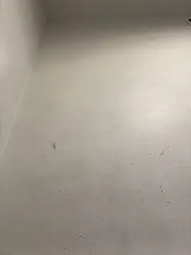 honeybrow online show from 8, 1, 2025