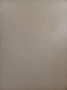 BriannaVincent online show from 9, 11, 2025