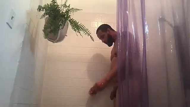 Z415 online show from 8, 10, 2025