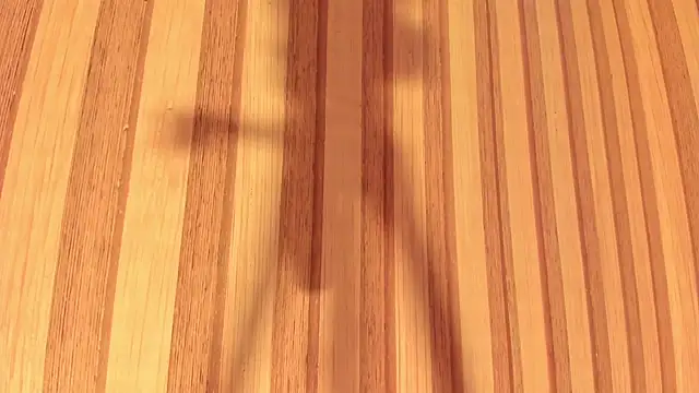 Daisy  rose online show from 22, 2, 2025