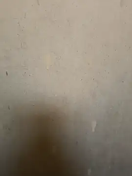 loveme99004 online show from 16, 2, 2026