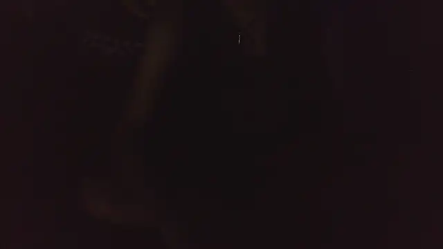 mystical zara online show from 19, 2, 2026