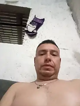 strip 1212 online show from 24, 3, 2026