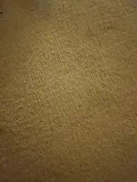 Snapshot of Fabio86semsimi chatting on 1, 12, 2024 Fabio86semsimi online show from 1, 12, 2024