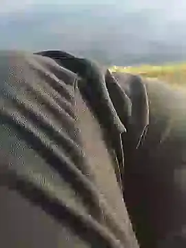 hexsmith96 online show from 18, 12, 2024