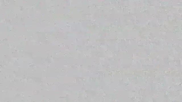 mara jackson  online show from 14, 3, 2025