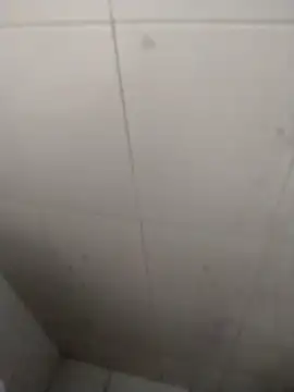 Snapshot of rohitlov150 chatting on 18, 9, 2025 rohitlov150 online show from 18, 9, 2025