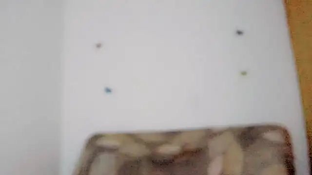 TatiGil online show from 10, 4, 2026