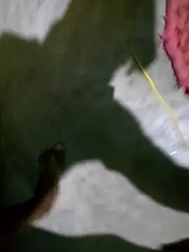 hotbaby 5 online show from 5, 1, 2025