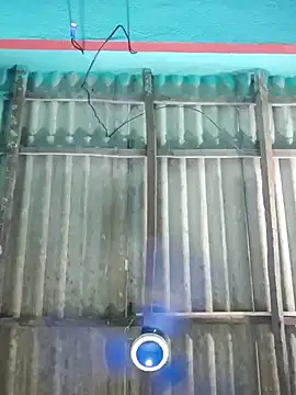 hotbaby 5 online show from 9, 9, 2025