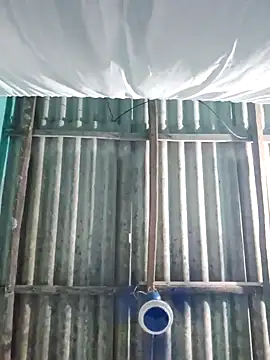 hotbaby 5 online show from 28, 10, 2025