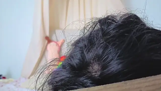 Katiaflex online show from 2, 3, 2026