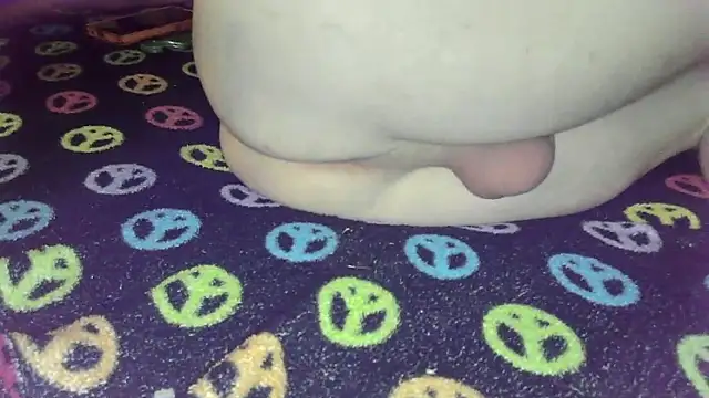 ptut820 online show from 24, 4, 2026