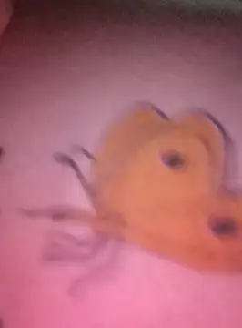 Nadia-2 online show from 24, 1, 2025