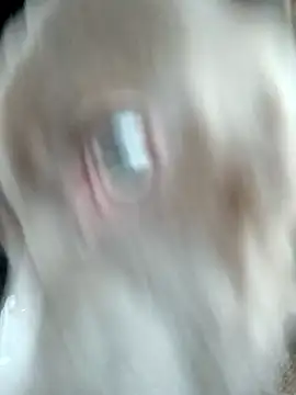 hoesinthishouse78 online show from 22, 11, 2025