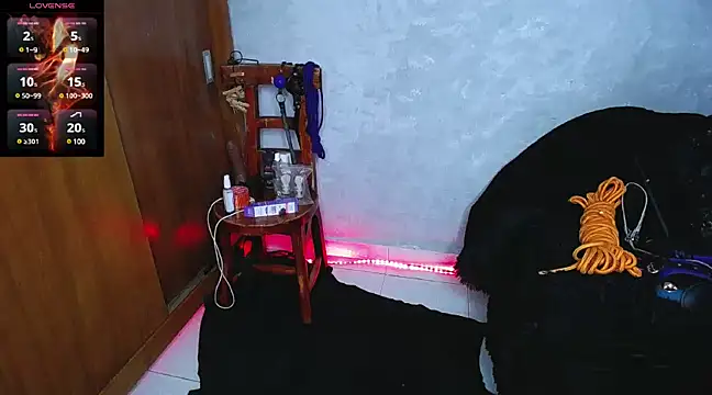 mysteery katty  online show from 16, 12, 2024