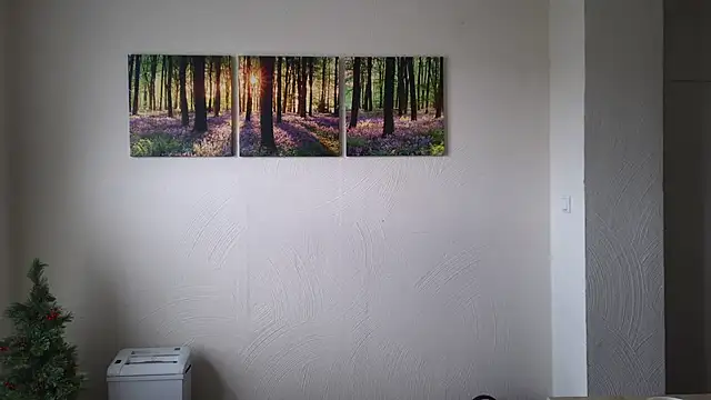 Harry Boldt online show from 30, 12, 2024