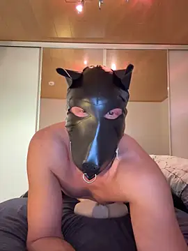 PlayDog123 online show from 22, 3, 2025