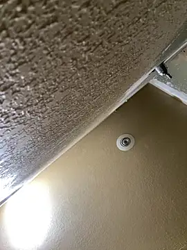 Ohodges online show from 17, 9, 2025