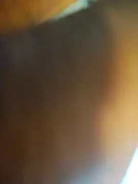 ptrz990 online show from 17, 2, 2026