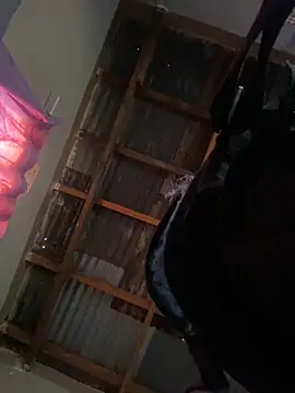 dojw online show from 29, 9, 2025