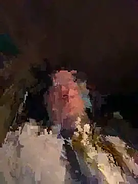 SaneService9 online show from 8, 4, 2026