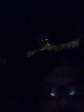 Watson4U online show from 13, 12, 2024