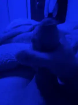 paolone79037 online show from 22, 4, 2026