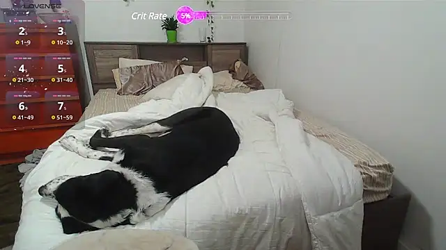 Kittyymaze1 online show from 25, 2, 2025