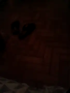 lobomisterioso13 online show from 11, 12, 2024