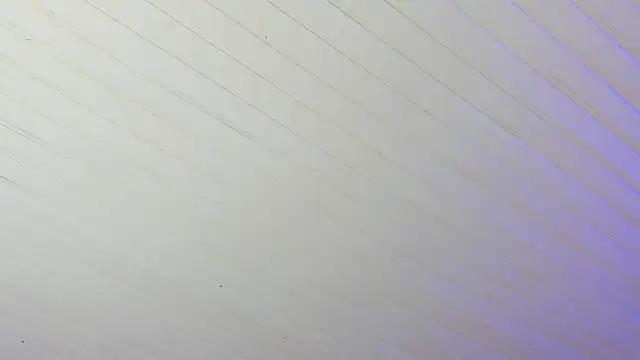 Ammy nova online show from 17, 12, 2025