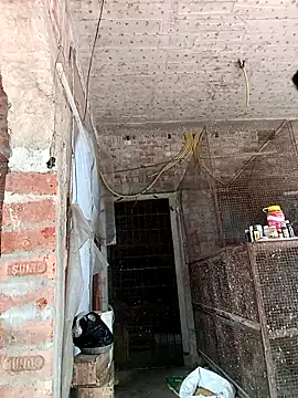 NICK IN online show from 24, 2, 2025