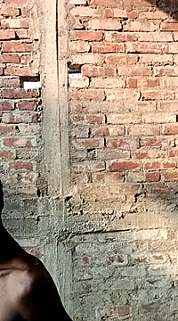 NICK IN online show from 2, 3, 2025