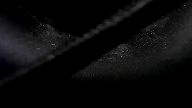 Niquitasparkles online show from 23, 1, 2025