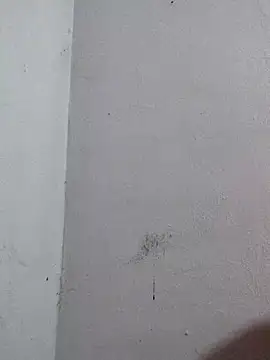 Negrocomedo online show from 6, 3, 2026