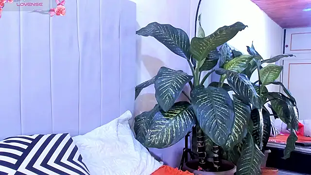 Mindy sweety online show from 6, 3, 2025