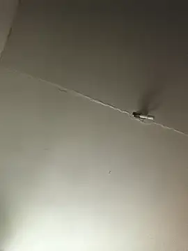 Snapshot of Ozomitro chatting on 25, 10, 2025 Ozomitro online show from 25, 10, 2025