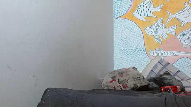 Snapshot of Party_trans chatting on 14, 2, 2025 Party trans online show from 14, 2, 2025