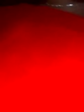 sara pineros online show from 28, 12, 2024