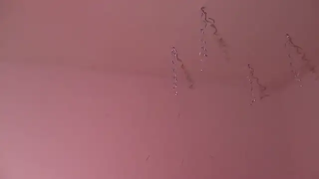 Miss oliviaa online show from 3, 1, 2025