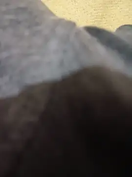 Bigdick pedro online show from 12, 6, 2026