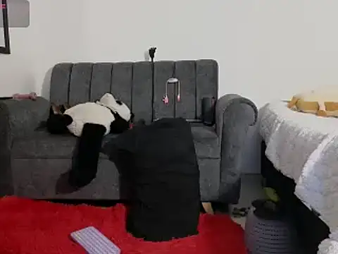 Snapshot of Katt_BDSM chatting on 13, 2, 2025 Katt BDSM online show from 13, 2, 2025