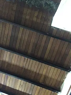 isacalejandroo online show from 25, 1, 2025