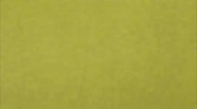 Snapshot of AnneGagner chatting on 9, 3, 2025 AnneGagner online show from 9, 3, 2025